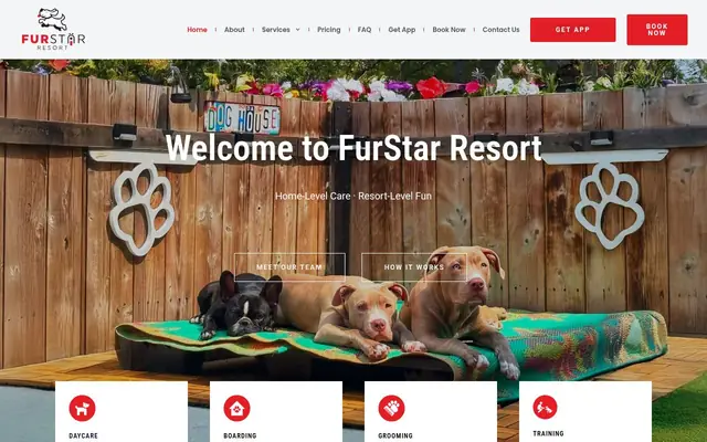 Homepage of Fur Star Resort – cat sitter in Staten Island, NY