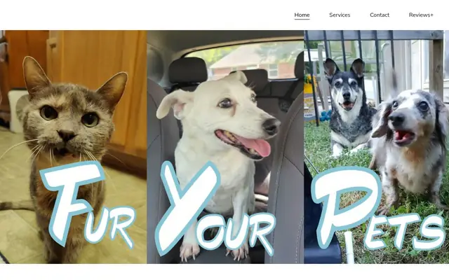 Homepage of Fur Your Pets – cat sitter in Round Rock, TX