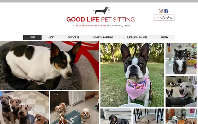 Homepage of Good Life Pet Sitting-Stress Free in home care – cat sitter in San Antonio, TX