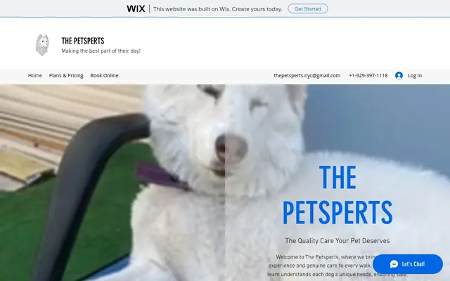 Homepage of Jamaica Pet Care Services – cat sitter in Jamaica, NY