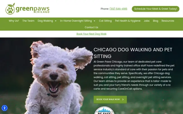 Homepage of Green Paws Chicago – cat sitter in Chicago, IL