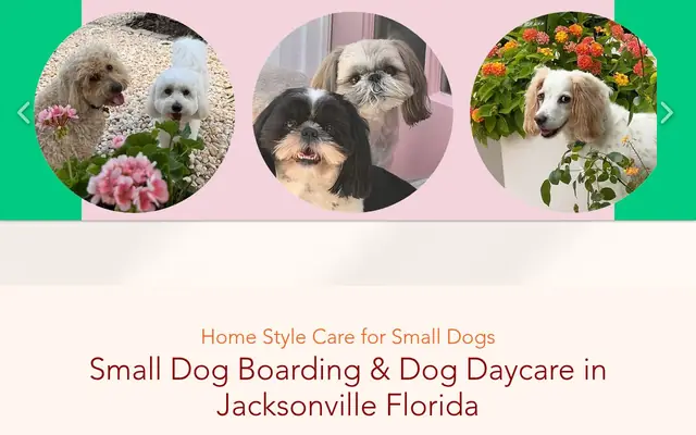 Homepage of Greenwich Canine Concierge LLC – cat sitter in Jacksonville, FL