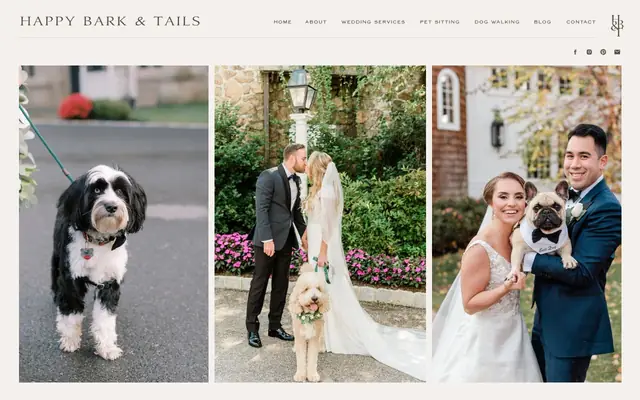 Homepage of Happy Bark & Tails – cat sitter in New Jersey