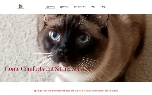 Homepage of Home Comforts Cat Sitting Service – cat sitter in Ohio