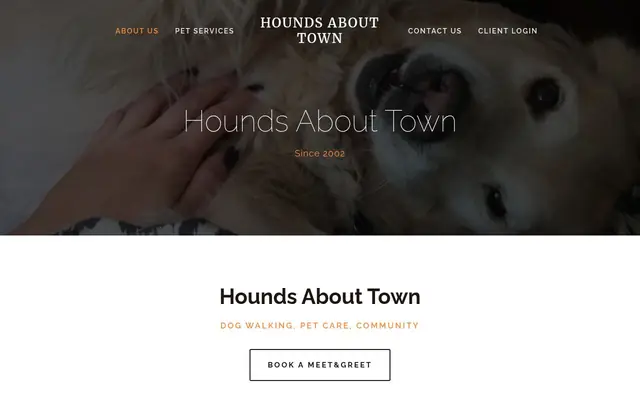 Homepage of Hounds About Town – cat sitter in Allston, MA