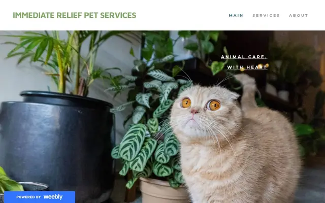 Homepage of Immediate Relief Pet Services – cat sitter in Bellevue, WA