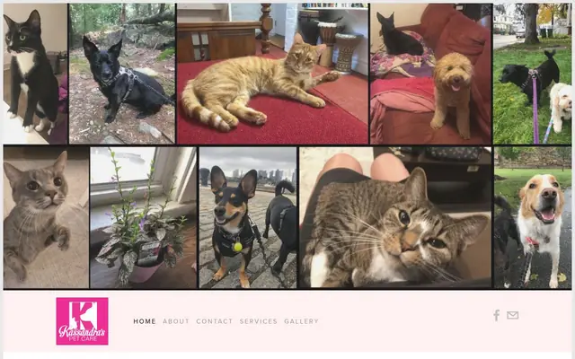 Homepage of Kassandra's Pet Care – cat sitter in Somerville, MA