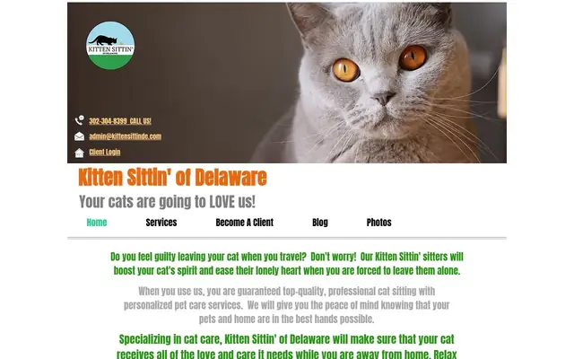 Homepage of Kitten Sittin' of Delaware – cat sitter in Wilmington, DE
