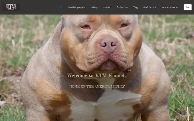 Homepage of Ktm Kennels – cat sitter in Fairmont, WV