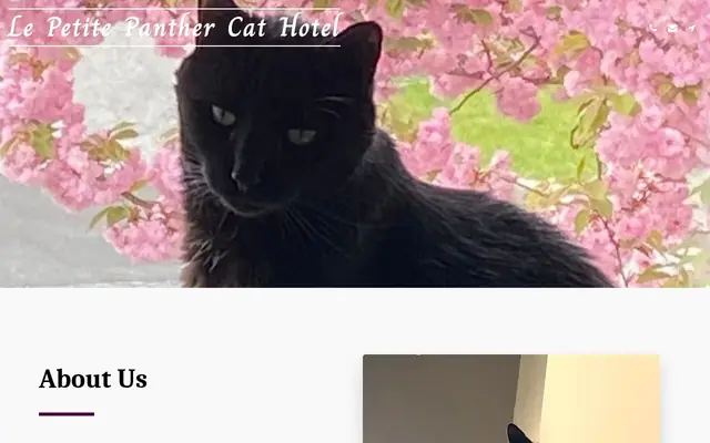 Homepage of Le Petite Panther Cat Hotel – cat sitter in Harrisburg, PA