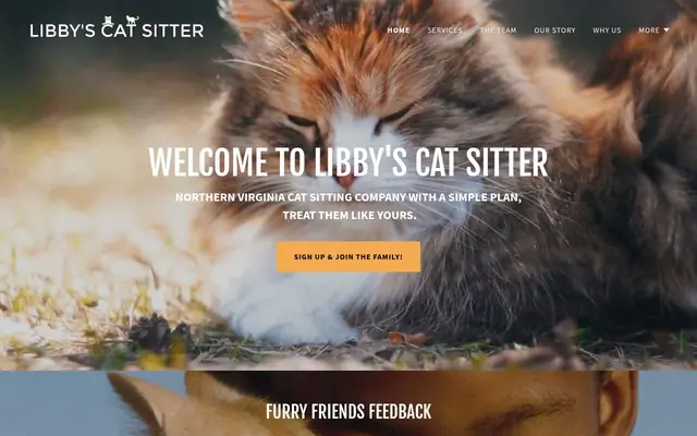 Homepage of Libby's Cat Sitter – cat sitter in Fairfax, VA