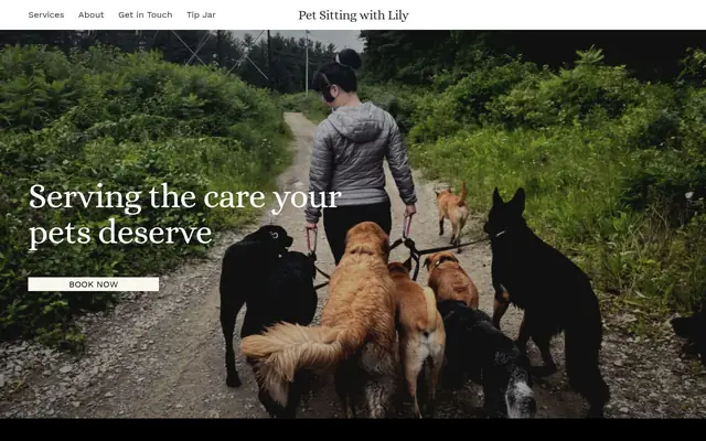 Homepage of Lily Sits Pets – cat sitter in Merrimack, NH