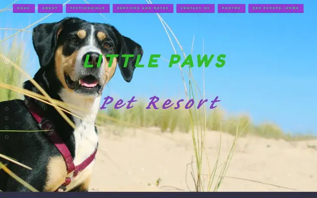 Homepage of Little Paws Pet Resort – cat sitter in Old Hickory, TN