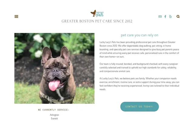Homepage of Lucky Lucy's Pets - Dog Walking and Pet Care Medford – cat sitter in Allston, MA