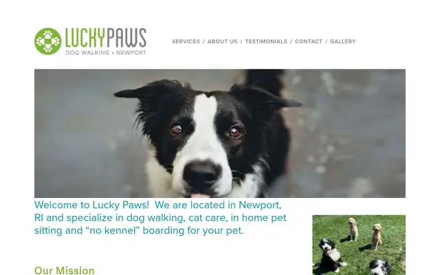 Homepage of Lucky Paws RI – cat sitter in Newport, RI