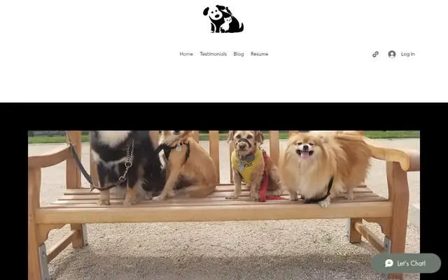 Homepage of Lucky's Pet Concierge LLC – cat sitter in Bellevue, WA