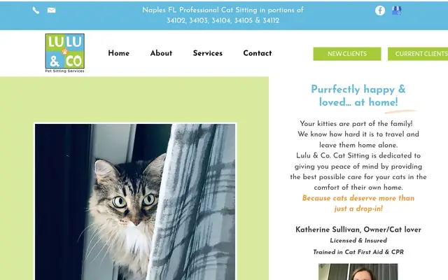 Homepage of Lulu & Co. Cat Sitting – cat sitter in Florida