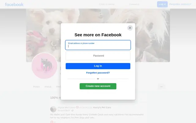 Homepage of Kerry's Pet Sitting and Pet Care – cat sitter in Kingston, MA