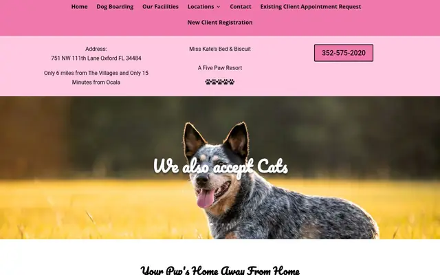 Homepage of Miss Kate's Bed & Biscuit – cat sitter in Oxford, FL