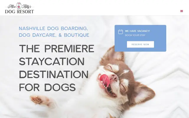 Homepage of Miss Kitty's Dog Resort – cat sitter in Nashville, TN