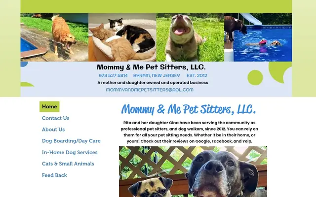 Homepage of Mommy and Me Pet Sitters, LLC. – cat sitter in Stanhope, NJ
