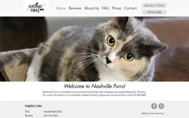Homepage of Nashville Purrs – cat sitter in Nashville, TN
