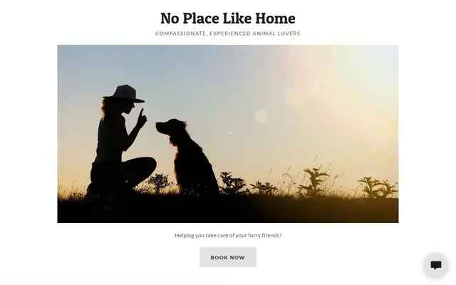 Homepage of No Place Like Home – cat sitter in Westport, CT