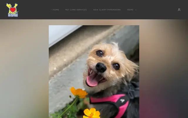 Homepage of No Worries Pet Sitting and Mobile Grooming – cat sitter in Allentown, PA