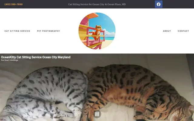 Homepage of Ocean Kitty – cat sitter in Ocean City, MD