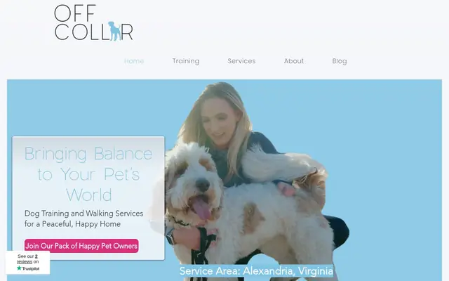 Homepage of Off Collar – cat sitter in Alexandria, VA