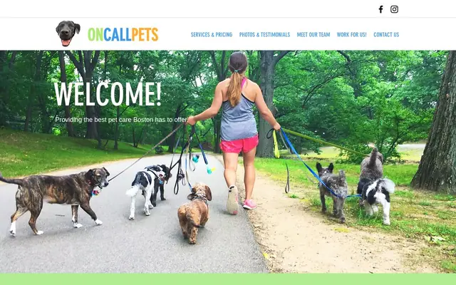 Homepage of On call pet service – cat sitter in Allston, MA