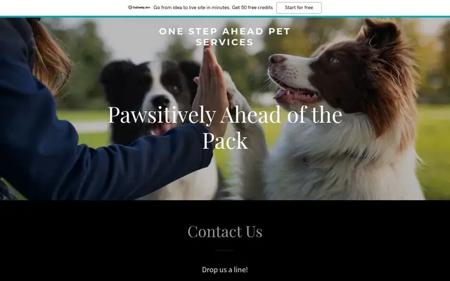 Homepage of One Step Ahead Pet Services – cat sitter in Huntingdon Valley, PA