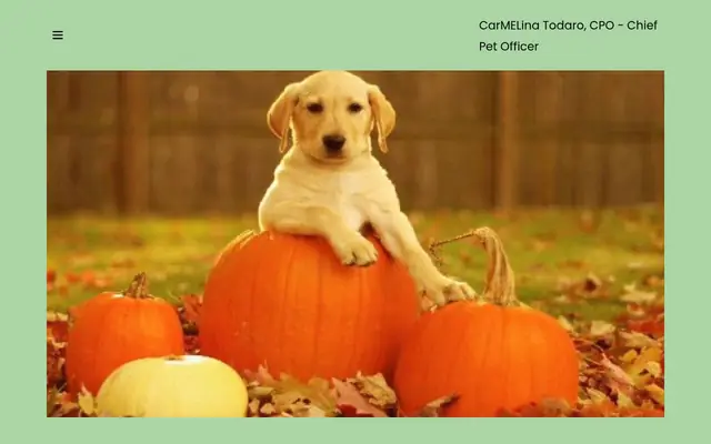 Homepage of On The Ball Pet Care LLC – cat sitter in Columbus, NJ