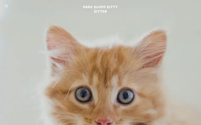 Homepage of Park Slope Kitty Sitter – cat sitter in Brooklyn, NY