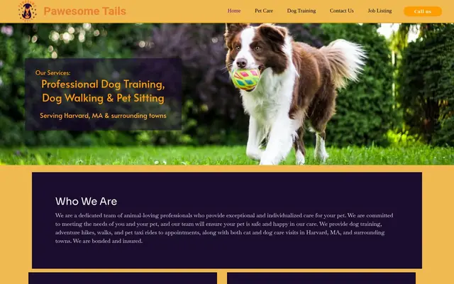 Homepage of Pawesome Tails – cat sitter in Bolton, MA