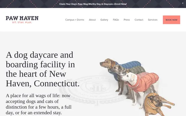 Homepage of Paw Haven – cat sitter in New Haven, CT