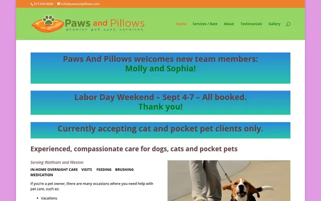 Homepage of Paws and Pillows – cat sitter in Waltham, MA
