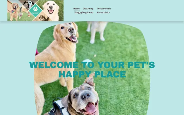Homepage of Paws & Tails Petsitting of Arizona – cat sitter in Tucson, AZ