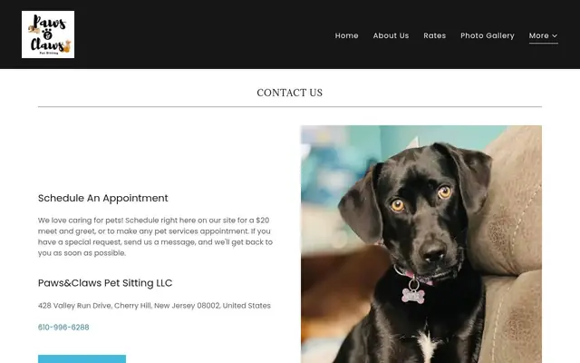 Homepage of Paws&Claws Pet Sitting LLC – cat sitter in Cherry Hill Township, NJ