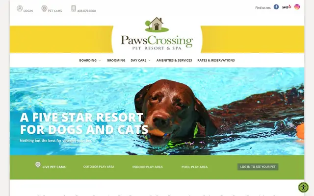 Homepage of Paws Crossing Pet Resort & Spa – cat sitter in Campbell, CA
