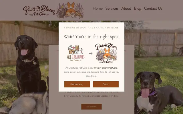 Homepage of Paws in Bloom Pet Care – cat sitter in Chadds Ford, PA
