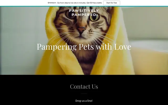 Homepage of Pawsitively Pampered – cat sitter in Virginia