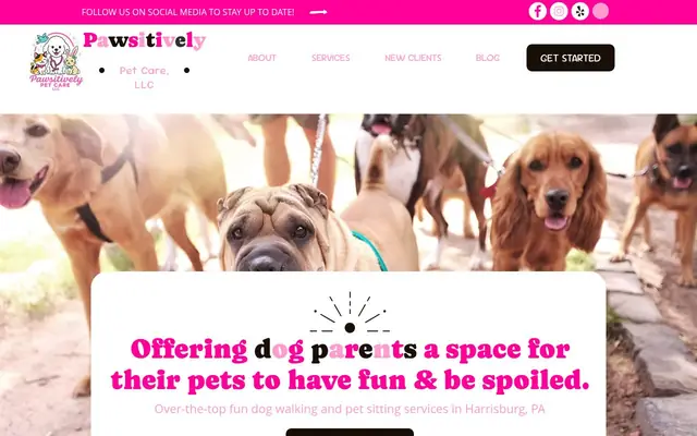 Homepage of Pawsitively Pet Care, LLC – cat sitter in Harrisburg, PA