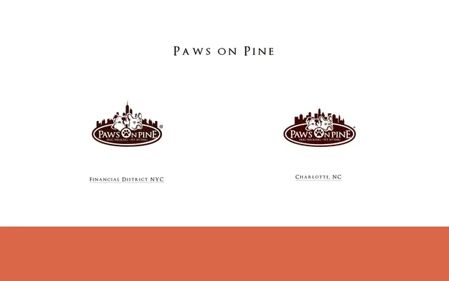 Homepage of Paws on Pine – cat sitter in Charlotte, NC