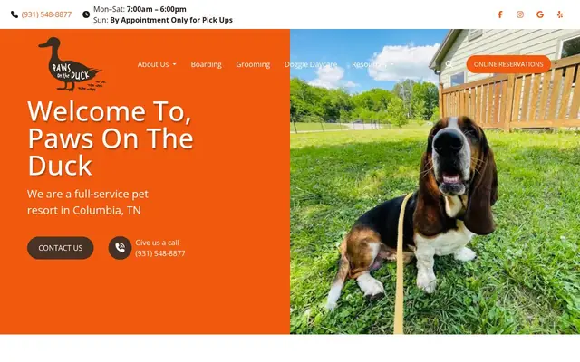 Homepage of Paws on the Duck – cat sitter in Columbia, TN