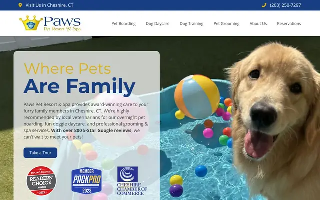 Homepage of Paws Pet Resort & Spa – cat sitter in Cheshire, CT