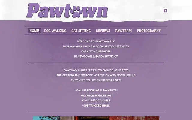 Homepage of PAWTOWN LLC – cat sitter in Middlebury, CT