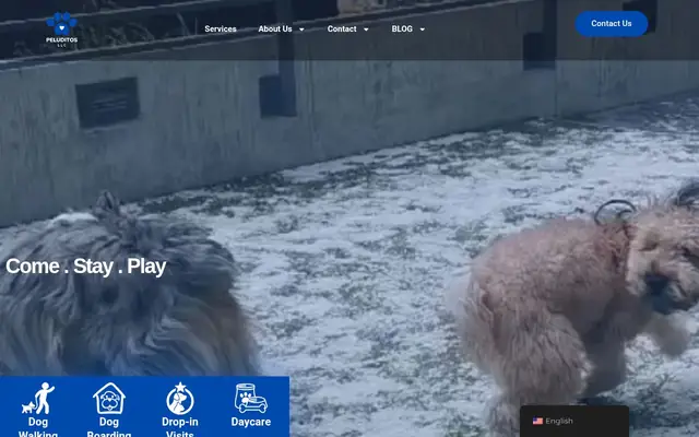 Homepage of Peluditos Petcare – cat sitter in Bellevue, WA