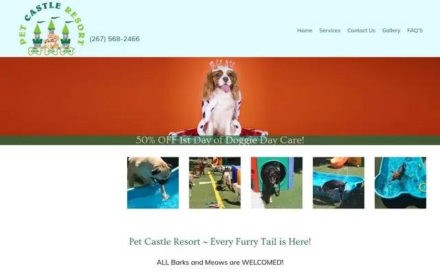 Homepage of Pet Castle Resort – cat sitter in Langhorne, PA