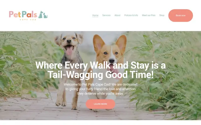 Homepage of Pet Pals Cape Cod – cat sitter in Provincetown, MA